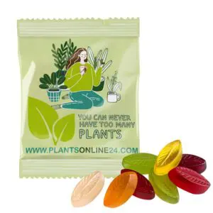 Fruchtgummi INDIVIDUELL-VEGAN, 20 g