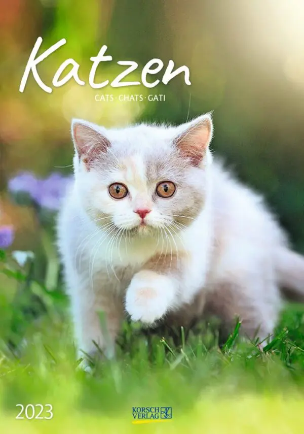 Katzen