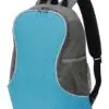 Fuji Basic Backpack