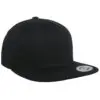 Organic Cotton Snapback