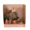 Botanical Giftset large - Cultural Harmony