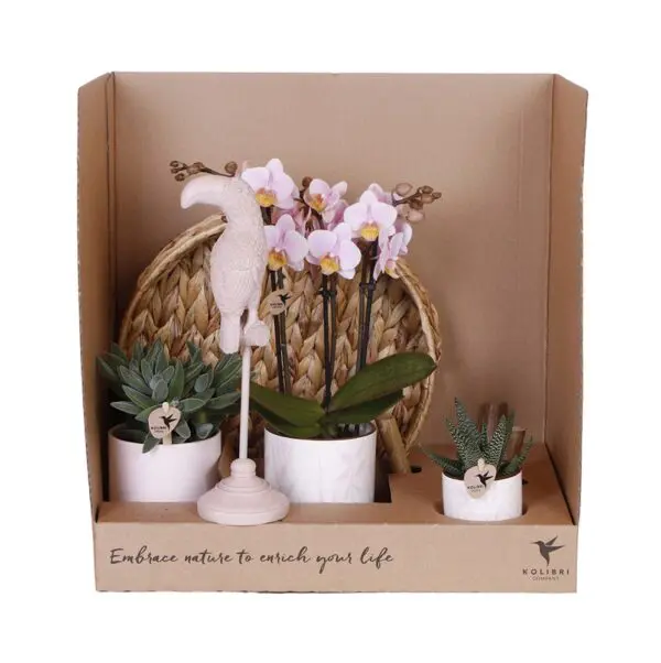 Botanical Giftset large - Pink Bliss