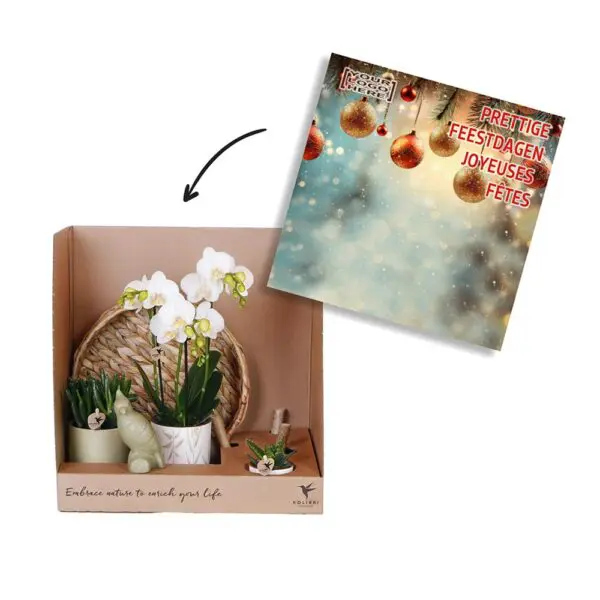 Botanical Giftset large - Serene Escape