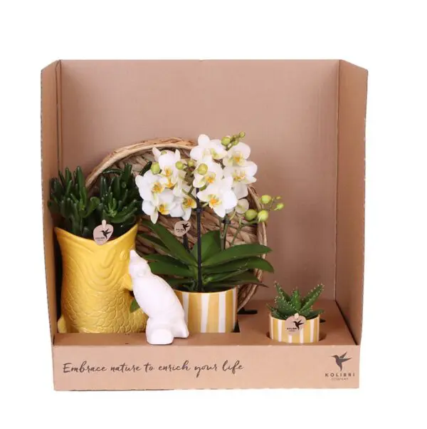 Botanical Giftset large - Sunset Yellow