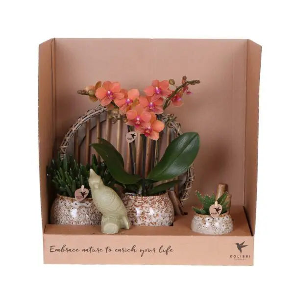 Botanical Giftset large - Wild Harmony