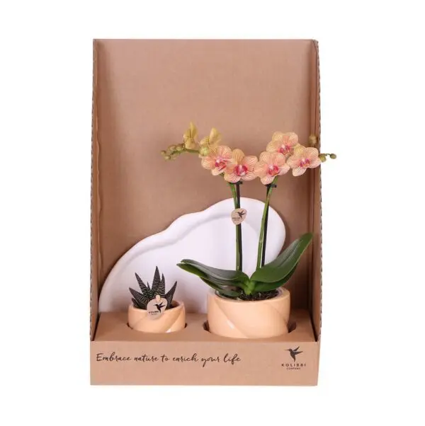 Botanical Giftset small - Radiant Orange