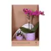 Botanical Giftset small - Royal Amethyst