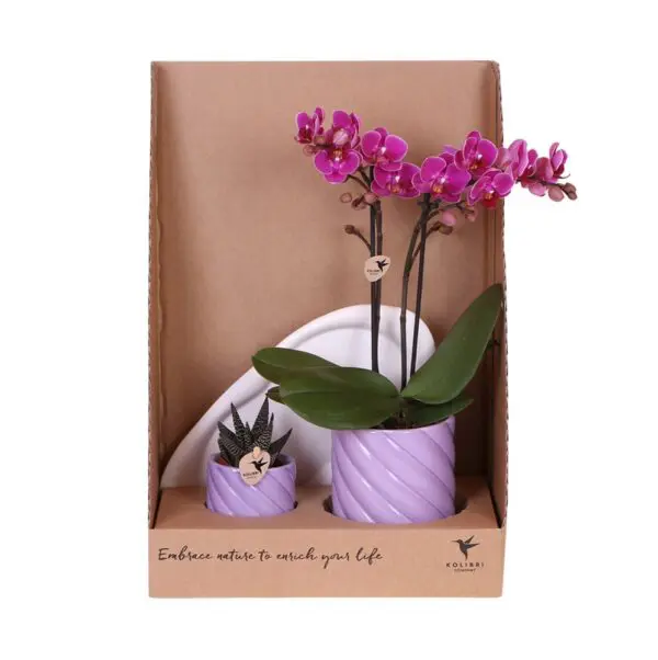 Botanical Giftset small - Royal Amethyst