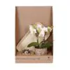 Botanical Giftset small - Wild Serenity