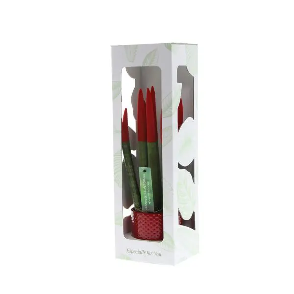 Sansevieria Topline® - Velvet Touchz® mittel