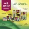 Tiny Treasurez® - Living candle trio im Briefkastenkarton