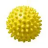 Wellness-Ball "Igel"