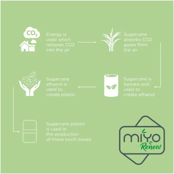 MIYO Renew Doppel-Lunchbox