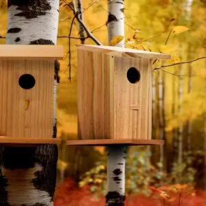 Bird House Retreat