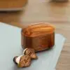 EchoTone Wood Earbuds