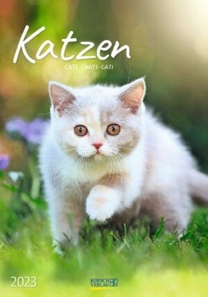 Katzen