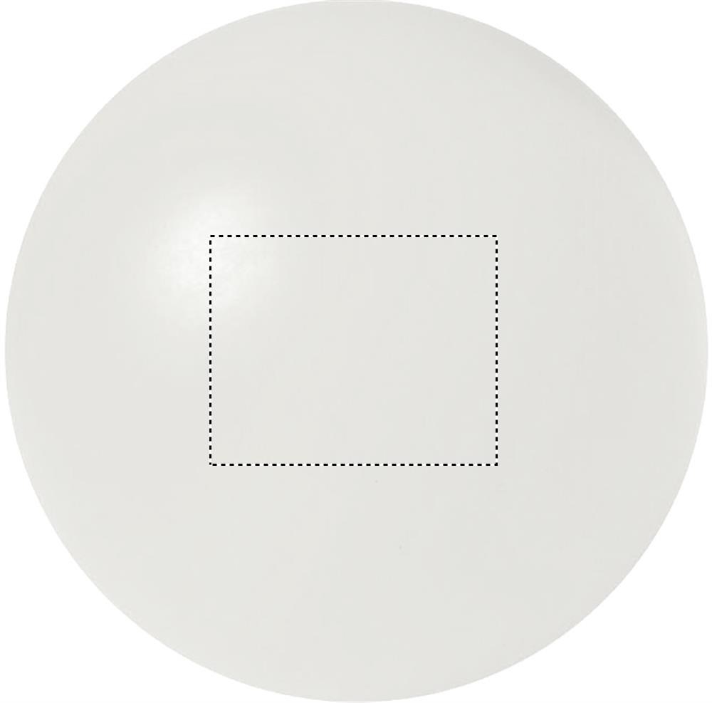 FRONT (max 25 x 20 mm)