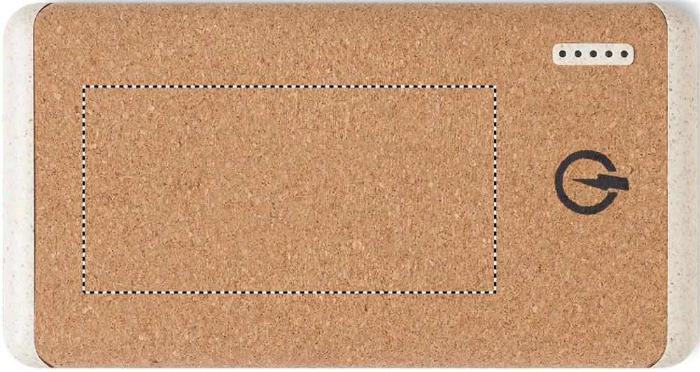 FRONT PAD (max 80 x 40 mm)