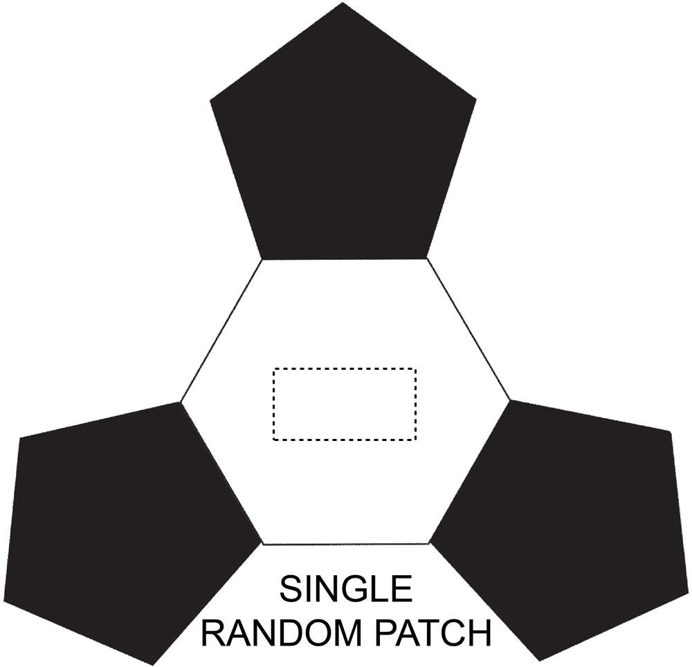 SINGLE RANDOM PATCH (max 40 x 20 mm)