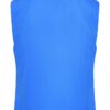 Ladies' Softshell Vest