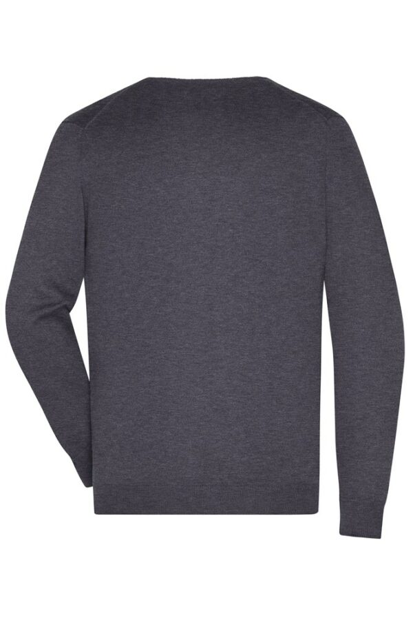 Pullover Men's V-Neck