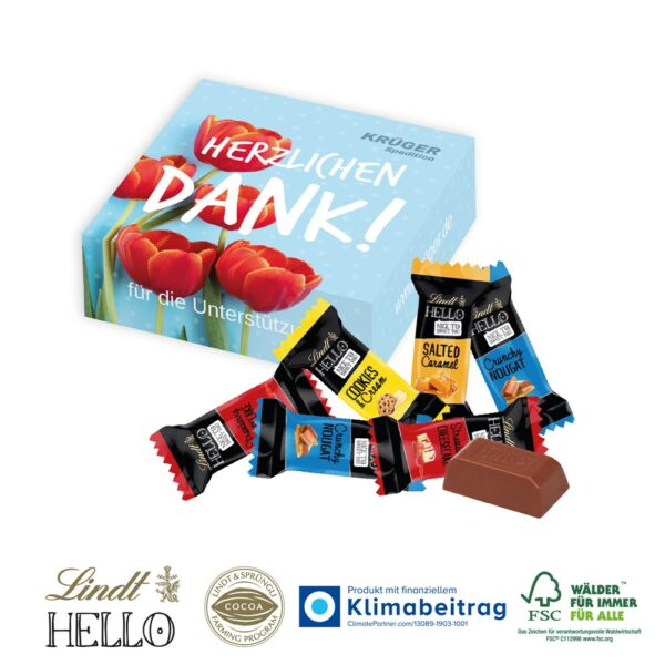 HELLO Mini Stick Mix, 6er