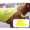 Korntex - Stretchy Hi-Vis Safety Vest For Dogs Buenos Aires