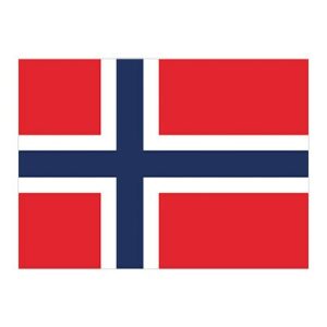 Printwear - Fahne Norwegen