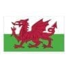 Printwear - Fahne Wales