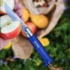 Taschenmesser Opinel Colorama No 08