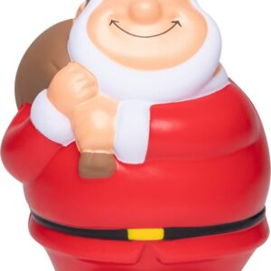 Santa Bert®